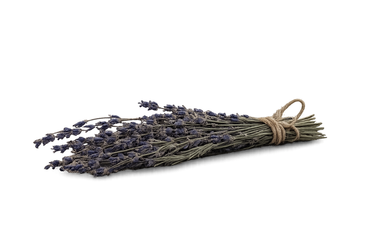 Lavanda, simbolo del recuerdo